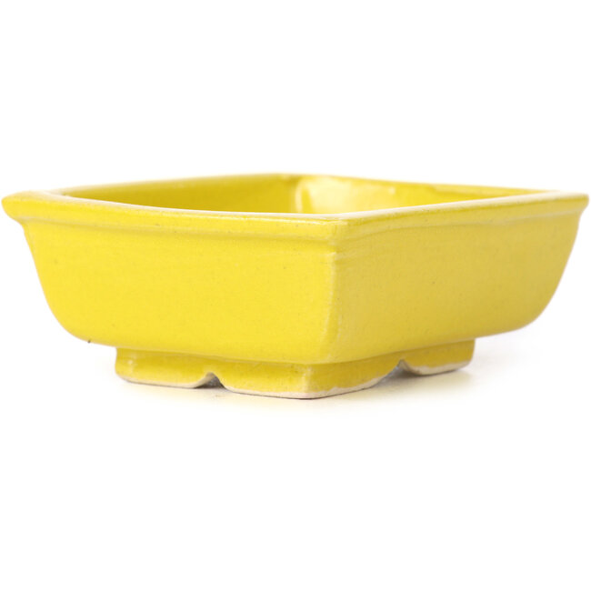 Maceta de bonsái amarilla rectangular de Seto - 85 x 70 x 30 mm