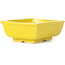 Vaso bonsai giallo rettangolare di Seto - 85 x 70 x 30 mm