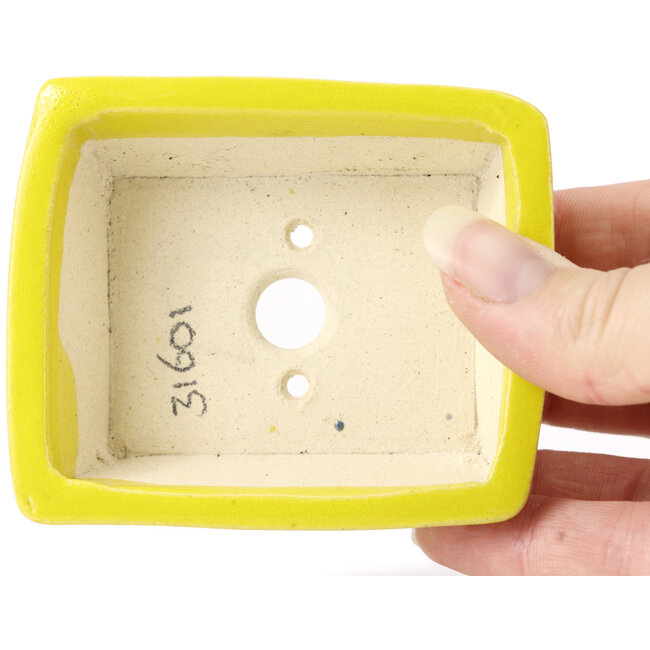 Vaso bonsai giallo rettangolare di Seto - 85 x 70 x 30 mm