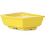 Pot à bonsaï rectangulaire jaune par Seto - 80 x 65 x 30 mm