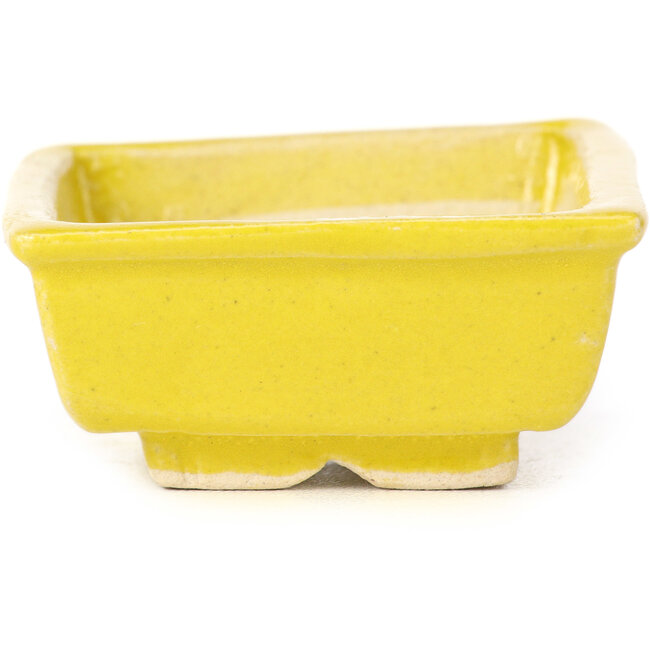 Vaso bonsai giallo rettangolare di Seto - 80 x 65 x 30 mm