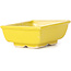 Pot à bonsaï rectangulaire jaune par Seto - 80 x 65 x 30 mm