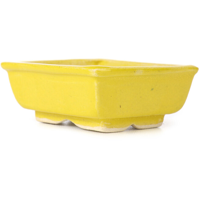Rechteckige gelbe Bonsaischale von Seto - 80 x 65 x 30 mm