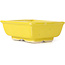 Pot à bonsaï rectangulaire jaune par Seto - 80 x 65 x 30 mm