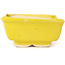 Pot à bonsaï rectangulaire jaune par Seto - 80 x 65 x 30 mm