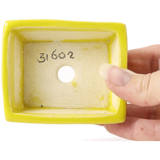 Pot à bonsaï rectangulaire jaune par Seto - 80 x 65 x 30 mm