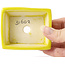 Pot à bonsaï rectangulaire jaune par Seto - 80 x 65 x 30 mm
