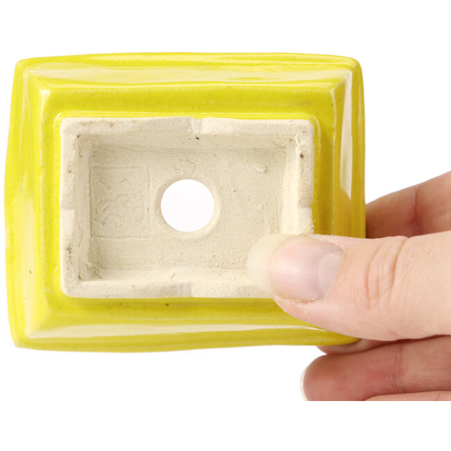 Maceta de bonsái amarilla rectangular de Seto - 80 x 65 x 30 mm