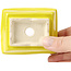 Pot à bonsaï rectangulaire jaune par Seto - 80 x 65 x 30 mm
