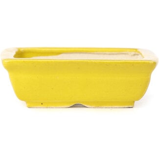 Seto 85 mm rectangular yellow bonsai pot by Seto, Japan