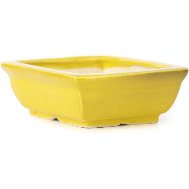 Vaso bonsai giallo rettangolare di Seto - 85 x 70 x 30 mm