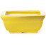 Pot à bonsaï rectangulaire jaune par Seto - 85 x 70 x 30 mm