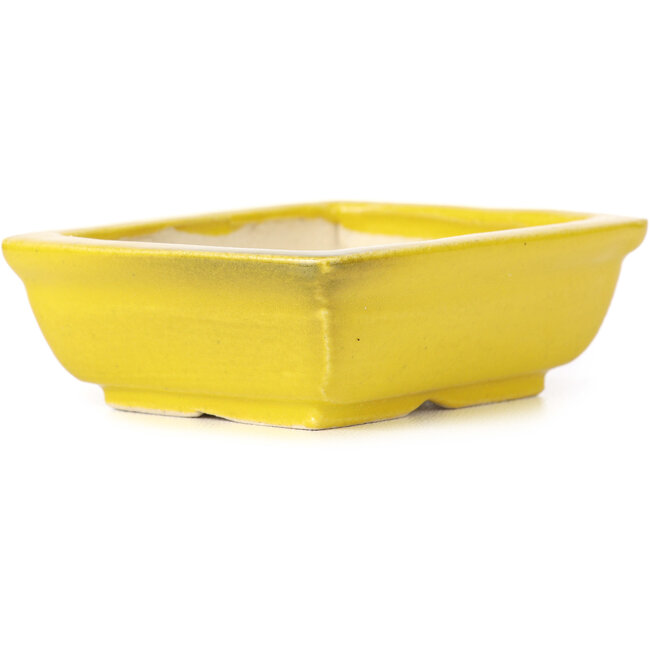Vaso bonsai giallo rettangolare di Seto - 85 x 70 x 30 mm