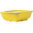 Pot à bonsaï rectangulaire jaune par Seto - 85 x 70 x 30 mm