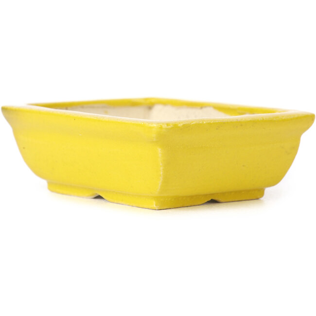 Maceta de bonsái amarilla rectangular de Seto - 85 x 70 x 30 mm