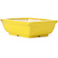 Pot à bonsaï rectangulaire jaune par Seto - 85 x 70 x 30 mm