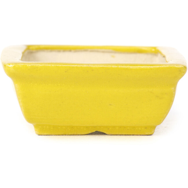 Vaso bonsai giallo rettangolare di Seto - 85 x 70 x 30 mm