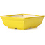 Pot à bonsaï rectangulaire jaune par Seto - 85 x 70 x 30 mm