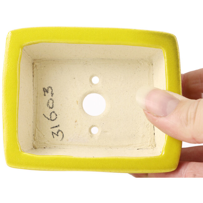Maceta de bonsái amarilla rectangular de Seto - 85 x 70 x 30 mm