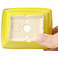 Vaso bonsai giallo rettangolare di Seto - 85 x 70 x 30 mm