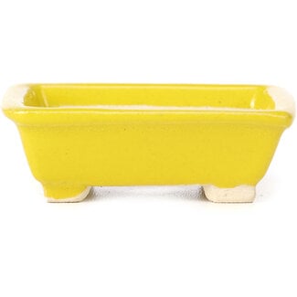 Seto 80 mm rectangular yellow bonsai pot by Seto, Japan