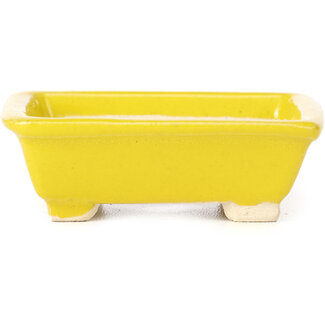 Seto Pot à bonsaï jaune rectangulaire 80 mm par Seto, Japon