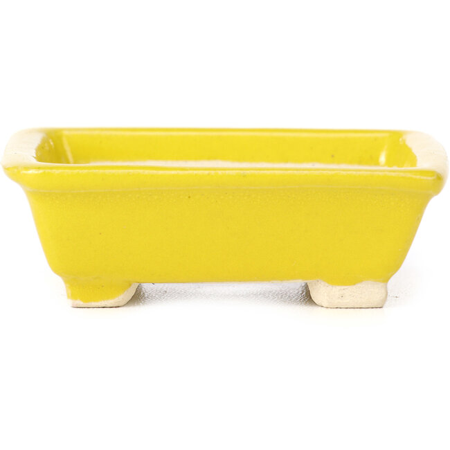 Pot à bonsaï rectangulaire jaune par Seto - 80 x 70 x 30 mm