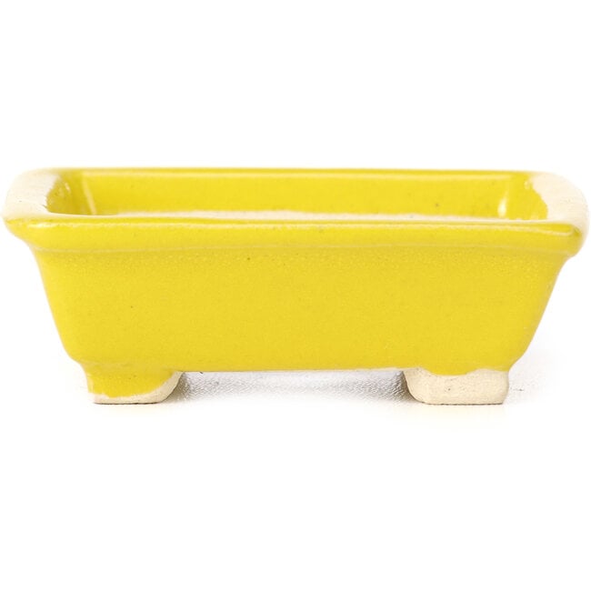 Rectangular yellow bonsai pot by Seto - 80 x 70 x 30 mm