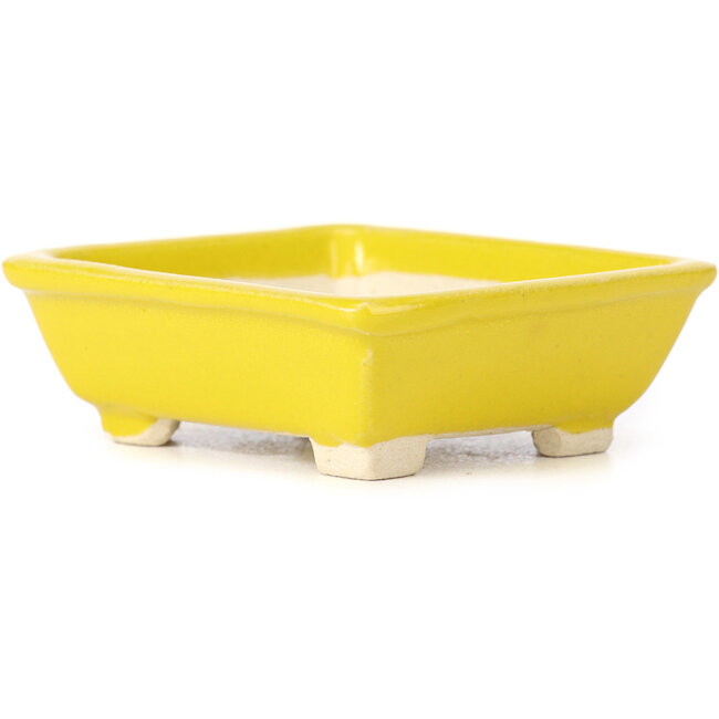 Vaso bonsai giallo rettangolare di Seto - 80 x 70 x 30 mm