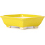 Pot à bonsaï rectangulaire jaune par Seto - 80 x 70 x 30 mm