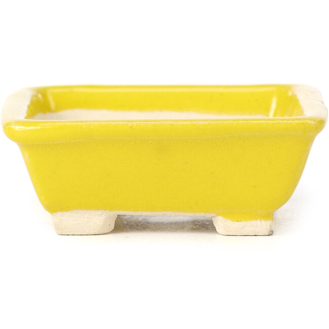 Maceta de bonsái amarilla rectangular de Seto - 80 x 70 x 30 mm