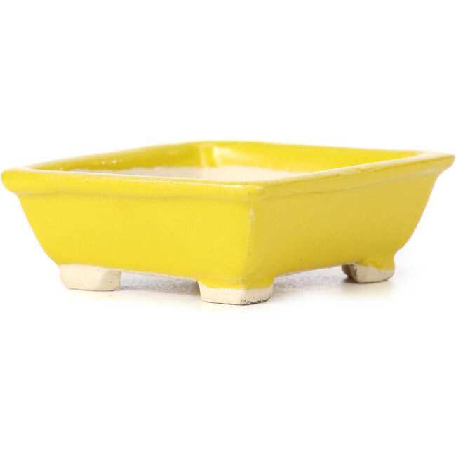 Maceta de bonsái amarilla rectangular de Seto - 80 x 70 x 30 mm