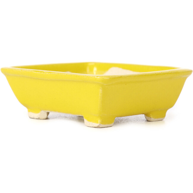 Rechteckige gelbe Bonsaischale von Seto - 80 x 70 x 30 mm