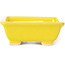 Pot à bonsaï rectangulaire jaune par Seto - 80 x 70 x 30 mm