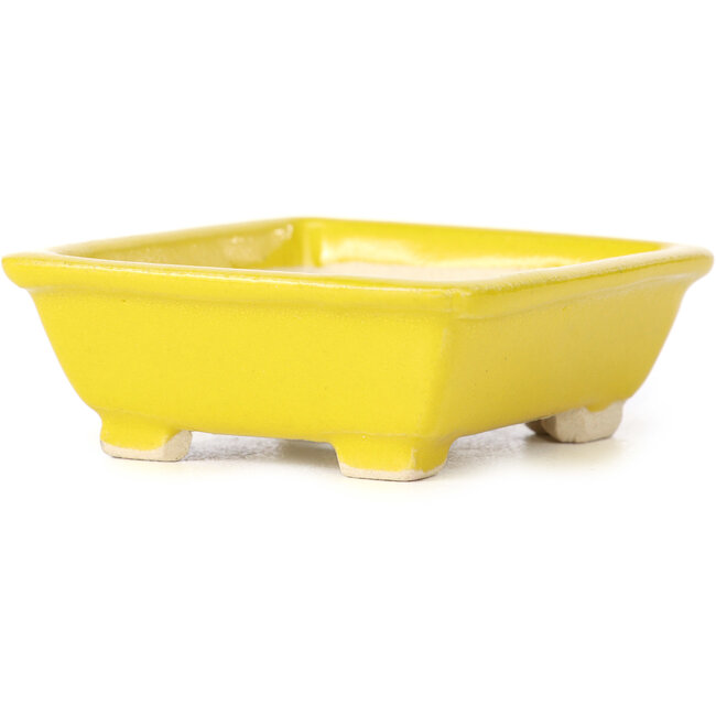 Pot à bonsaï rectangulaire jaune par Seto - 80 x 70 x 30 mm