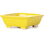Pot à bonsaï rectangulaire jaune par Seto - 80 x 70 x 30 mm