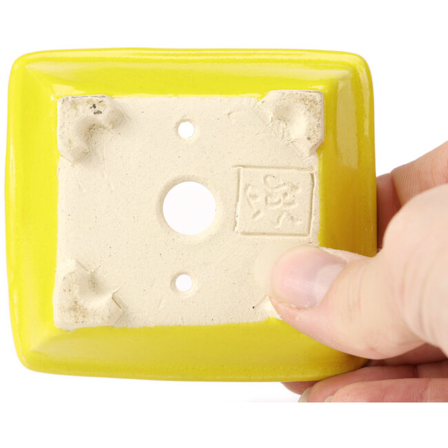 Vaso bonsai giallo rettangolare di Seto - 80 x 70 x 30 mm