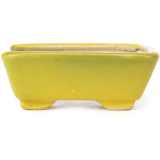 Seto Pot à bonsaï jaune rectangulaire 70 mm par Seto, Japon