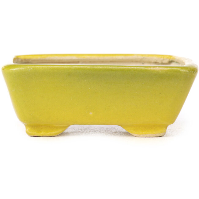 Pot à bonsaï rectangulaire jaune par Seto - 70 x 60 x 25 mm