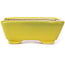 Rectangular yellow bonsai pot by Seto - 70 x 60 x 25 mm