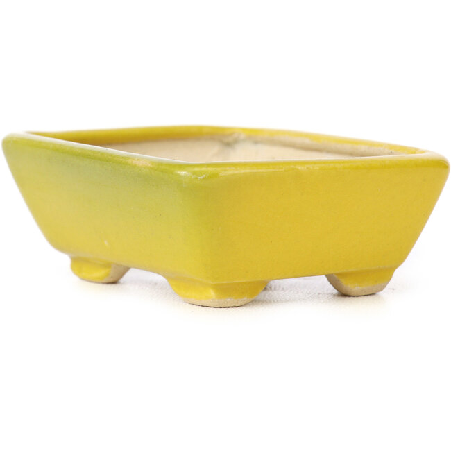 Maceta de bonsái amarilla rectangular de Seto - 70 x 60 x 25 mm