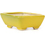 Pot à bonsaï rectangulaire jaune par Seto - 70 x 60 x 25 mm