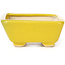 Pot à bonsaï rectangulaire jaune par Seto - 70 x 60 x 25 mm