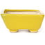 Rectangular yellow bonsai pot by Seto - 70 x 60 x 25 mm