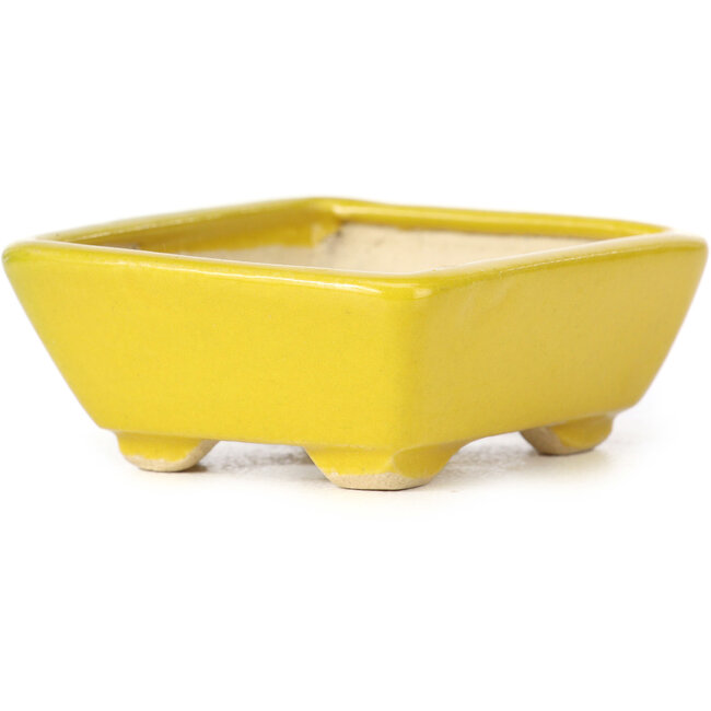 Rechthoekige gele bonsaipot van Seto - 70 x 60 x 25 mm