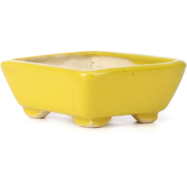 Rechthoekige gele bonsaipot van Seto - 70 x 60 x 25 mm