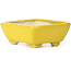 Pot à bonsaï rectangulaire jaune par Seto - 70 x 60 x 25 mm