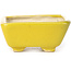 Pot à bonsaï rectangulaire jaune par Seto - 70 x 60 x 25 mm