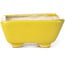 Rectangular yellow bonsai pot by Seto - 70 x 60 x 25 mm