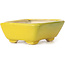 Pot à bonsaï rectangulaire jaune par Seto - 70 x 60 x 25 mm